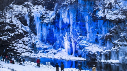 埼玉県；森林の凍結による「寒中の絶景」