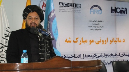جمع‌آوری ۴۴۰ میلیون افغانی مالیات طی 4 ماه گذشته در هرات