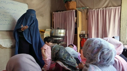 ملګري ملتونه: ښځې د علم او پوهې په مرسته مثبت بدلون راولي