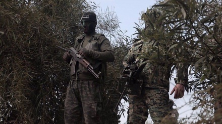 Israël/Gaza: Guerre des 