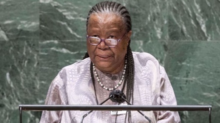 South African FM voices hope for ‘direct action’ against Israeli apartheid practices