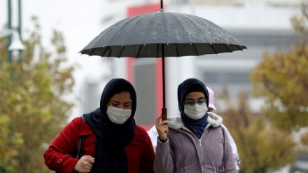 在过去24小时内，242名伊朗人染疫身亡