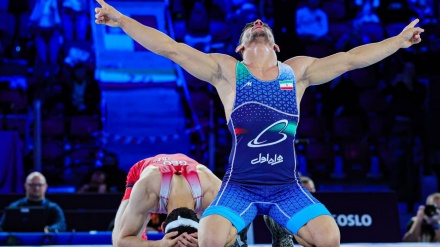 伊朗选手在保加利亚摔跤比赛中获得一金三铜