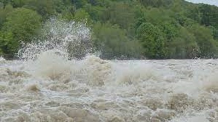 巴西大雨已致29人死亡5人失踪