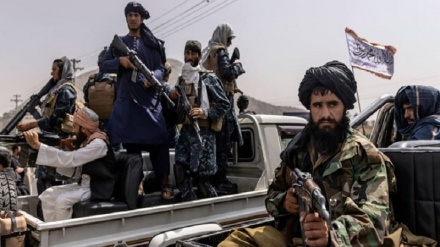 اعزام 10هزار نیروی طالبان به مرزهای شمال افغانستان