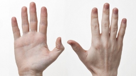 ペルシャ語ことわざ散歩（92）「５本の指は兄弟ではあるが、一様ではない」