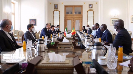  Iran ready to transfer technology, share scientific achievements with Mali: FM 