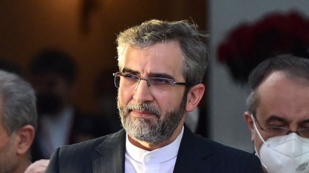  Iran: No guarantee Vienna talks will cross finish line; West must take certain decisions 