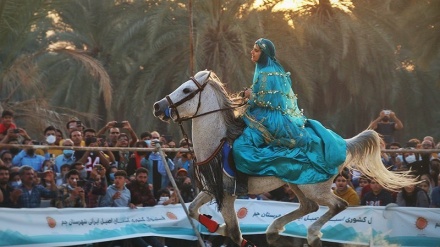 Festival Nasional Kuda Ras Iran di Bushehr (1)