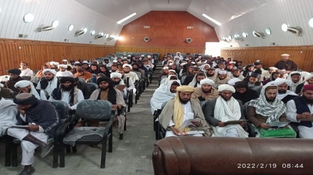 طالبان مدرک لیسانس می گیرند
