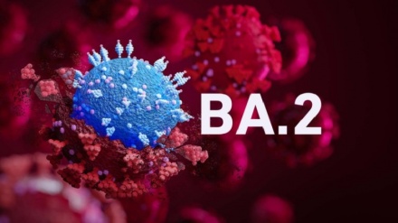 世卫：奥密克戎BA.2致病程度不会更严重