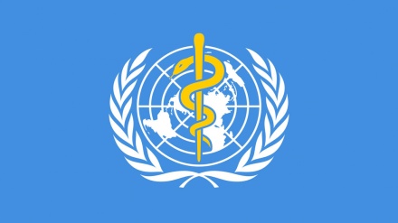 世卫组织：全球累计新冠确诊病例超3.7322亿例