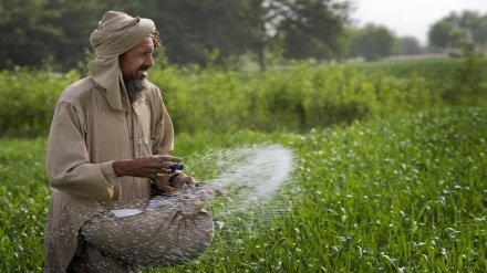 کمک سازمان همکاری اسلامی به افغانستان