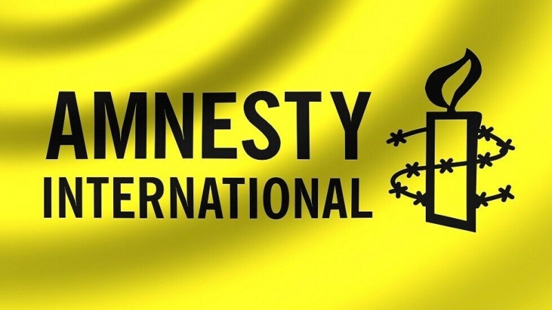 Organisasi non-pemerintah, Amnesty International