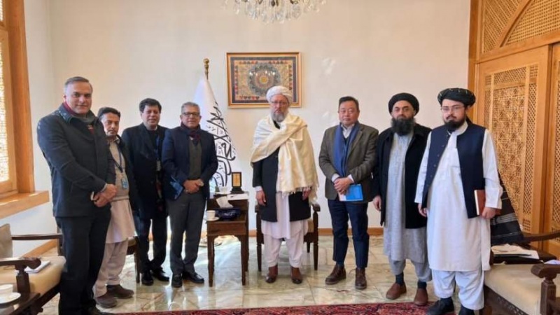دیدار معاون رئیس الوزرای دولت طالبان با رئیس سازمان صحی جهان