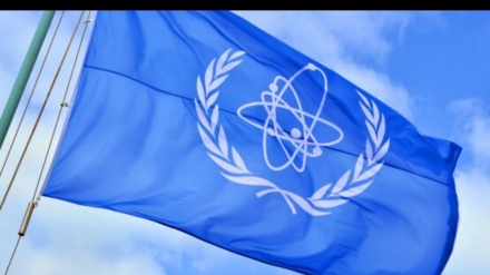 Uluslararası Atom Enerjisi Ajansı, Ukrayna'nın nükleer tesislerine gelebilecek olası hasardan endişe duyuyor