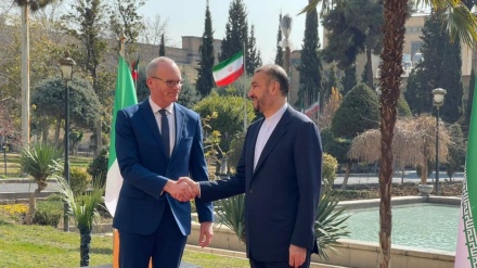 イラン外相がアイルランド外相と会談