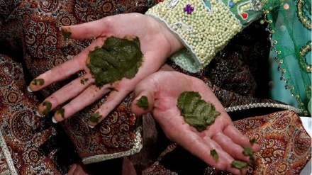 ペルシャ語ことわざ散歩 (84) 「誰かの手をヘナの中に入れる」