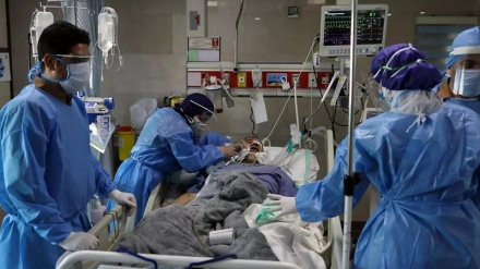 在过去24小时内，187名伊朗人染疫身亡