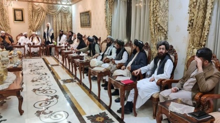 آغاز نشست طالبان با نمایندگان اتحادیه اروپا در دوحه