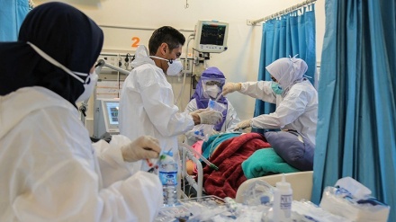 在过去24小时内，114名伊朗人染疫身亡
