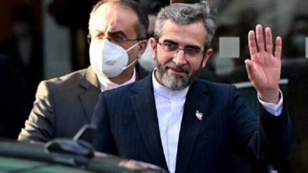 مذاکره کننده ارشد ایران به وین بازگشت