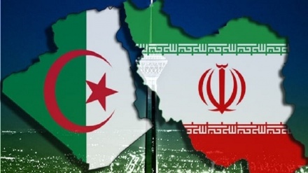 伊朗和阿尔及利亚将扩大能源领域的合作