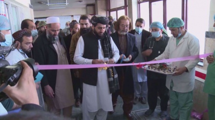  Afghan health system on brink of collapse due to sanctions 