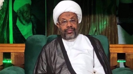  Saudi Arabia arrests another leading Shia Muslim religious scholar