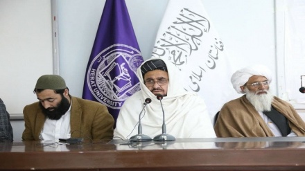 بازگشایی دانشگاه دولتی هرات