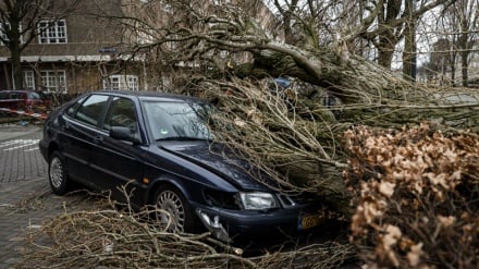 16 viktima nga stuhia në Evropë