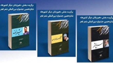 درخشش شاعر افغان در جشنواره شعر فجر ایران