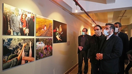 Festival Seni Visual Fajr di Tehran (2)