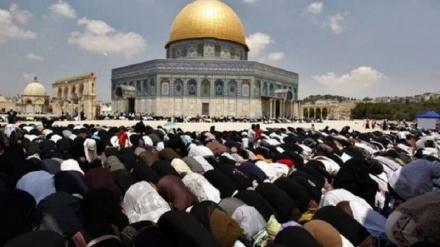Masjid Al-Aqsa, Identitas Sejarah dan Agama Palestina