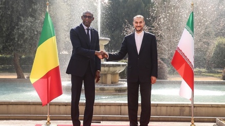 L'Afrique en marche 