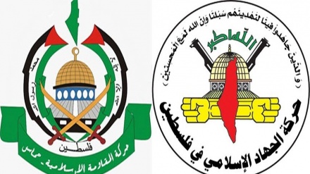 巴勒斯坦抵抗组织：反犹太复国主义行动加强抵抗力量