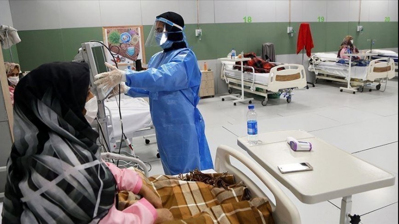 在过去24小时内，224名伊朗人染疫身亡