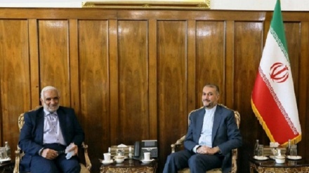 دیدار دبیرکل کنفرانس بین‌المللی حمایت از انتفاضه فلسطین مجلس ایران با امیرعبداللهیان