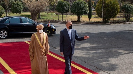 Menlu Iran: Perundingan Wina Capai Tahap Kritis