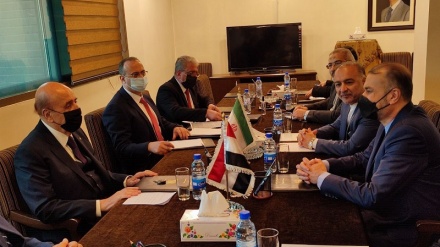 Amir Abdullahian Siriýanyň prezidentiniň milli howpsuzlyk geňeşçisi bilen duşuşdy