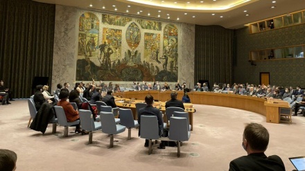 UN-Sicherheitsrat verlängert Waffenembargo gegen Ansarullah im Jemen 