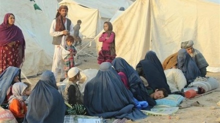 هشدار نهاد‌های بین المللی درباره فاجعه انسانی در افغانستان