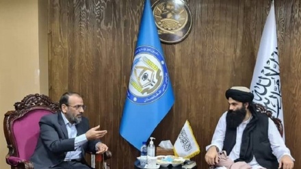 دیدار سرپرست سفارت ایران با وزیر کشور دولت موقت افغانستان 