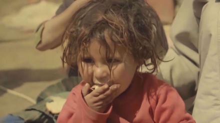 PBB Gagal Mencari Dana Cegah Bencana di Yaman