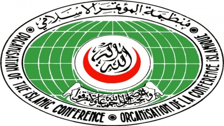 تعهد سازمان همکاری اسلامی برای تأمین پروژه‌های ناتمام در افغانستان
