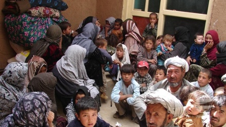 شکسته شدن رکورد مهاجرت و آوارگی در افغانستان