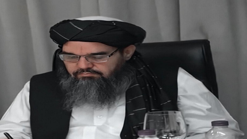 شهاب الدین دلاور رییس کمیسیون تماس طالبان با سیاسیون و چهره‌های افغان