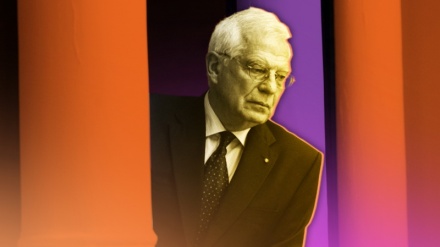 Боррель признал, что обещание Украине о вступлении в НАТО было ошибкой