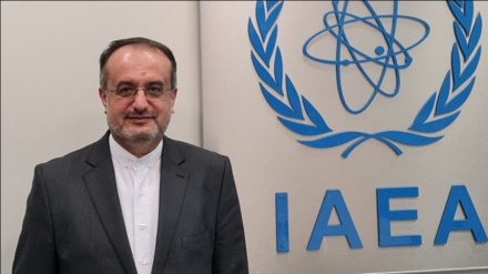  غائبی: گزارش گروسی منعکس کننده همکاری های گسترده ایران با آژانس نیست