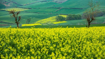  (FOTO) L'Iran, lo spettacolo della natura nel nord - 2